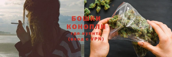 кокс Сосновый Бор