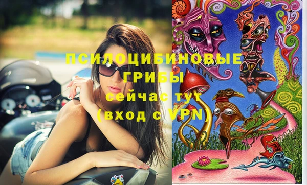 не бодяженный Сосновоборск