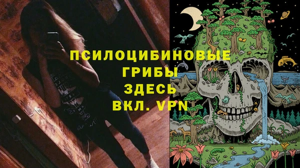 таблы Сосновка