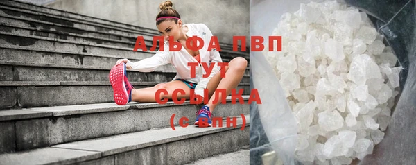 кокс Сосновый Бор
