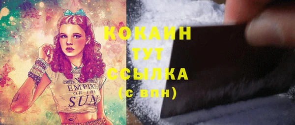 таблы Сосновка